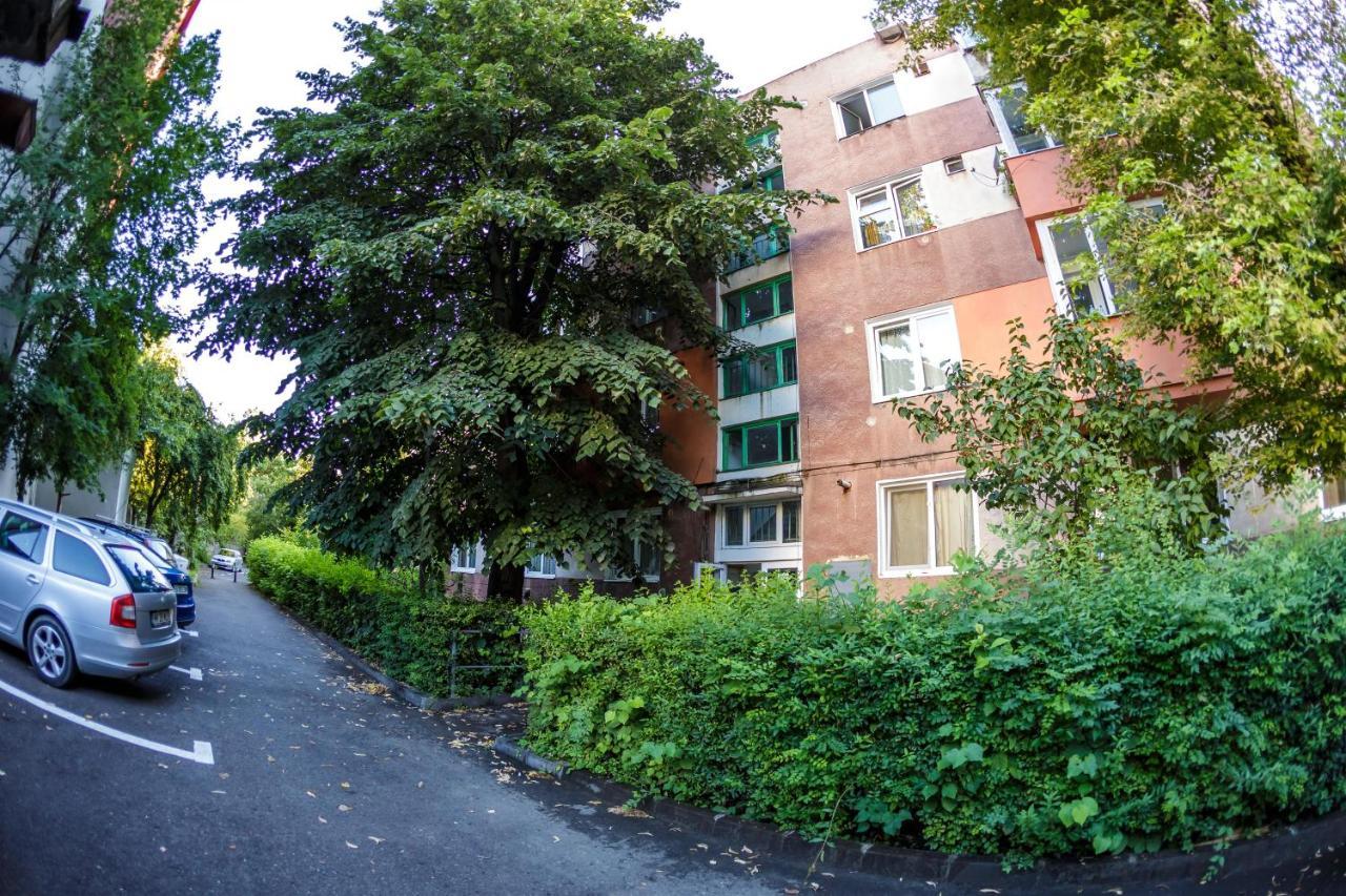 Apartament Family Rivulus 9 Μπάια Μάρε Εξωτερικό φωτογραφία